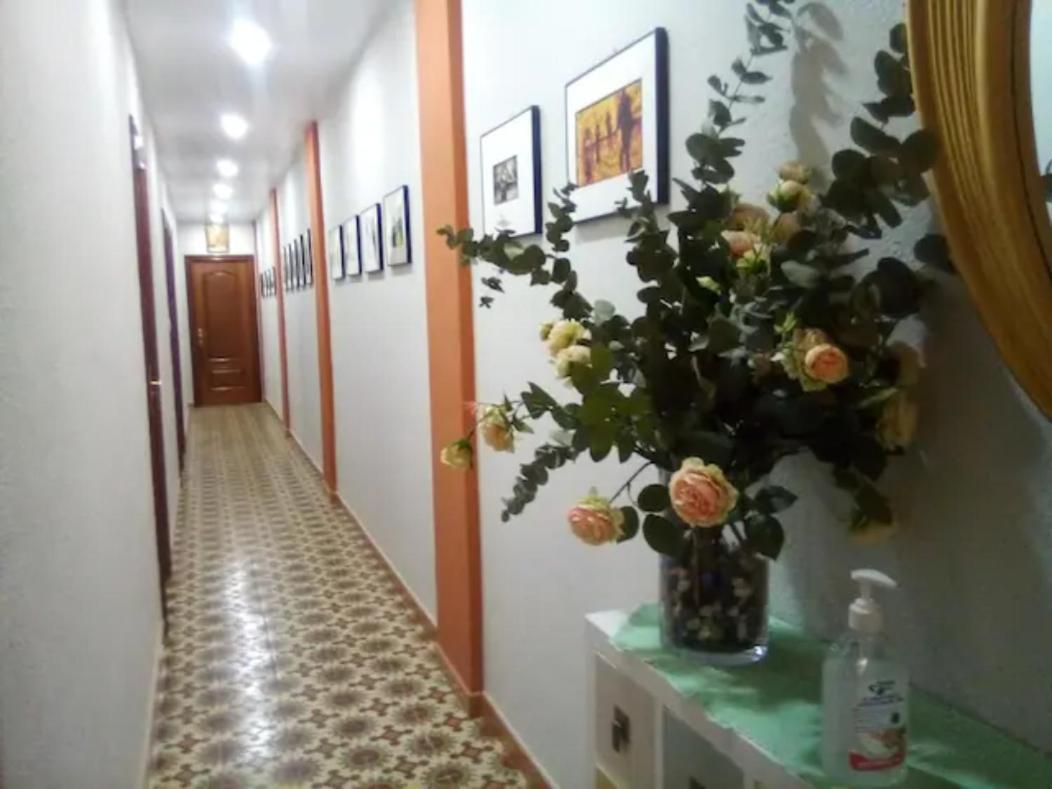 Las Golondrinas Habitacion En Piso Centrico Para Una O Dos Personas サラゴサ エクステリア 写真